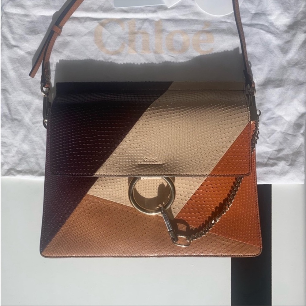 CHLOÉ *rare* Faye Snakeskin & Leather purse